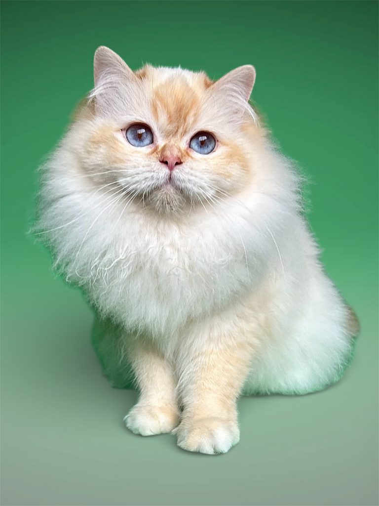 Broadview's Yummylicious Ezlyn