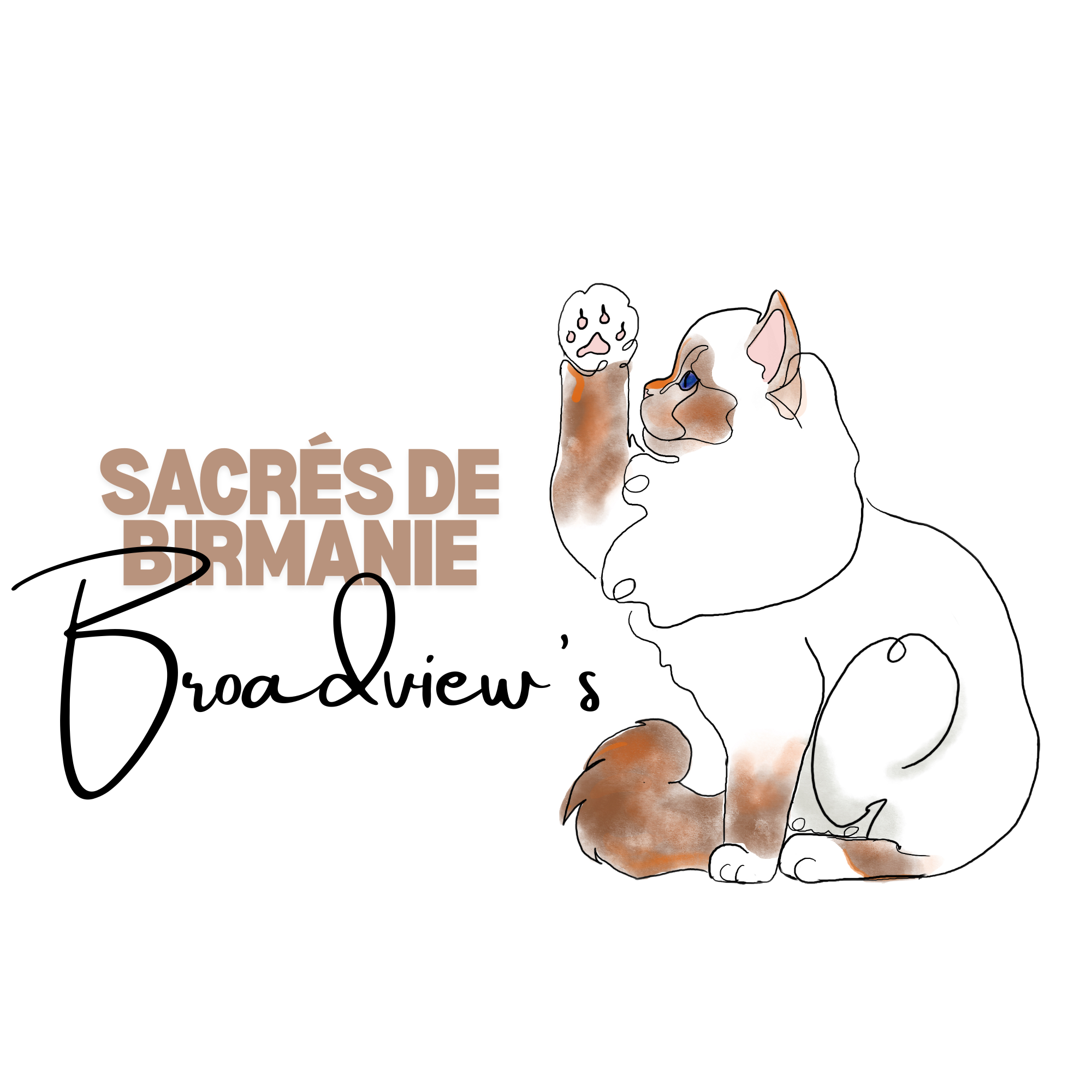 Chatterie Broadview's